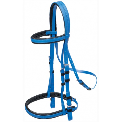 672542 padded bridle